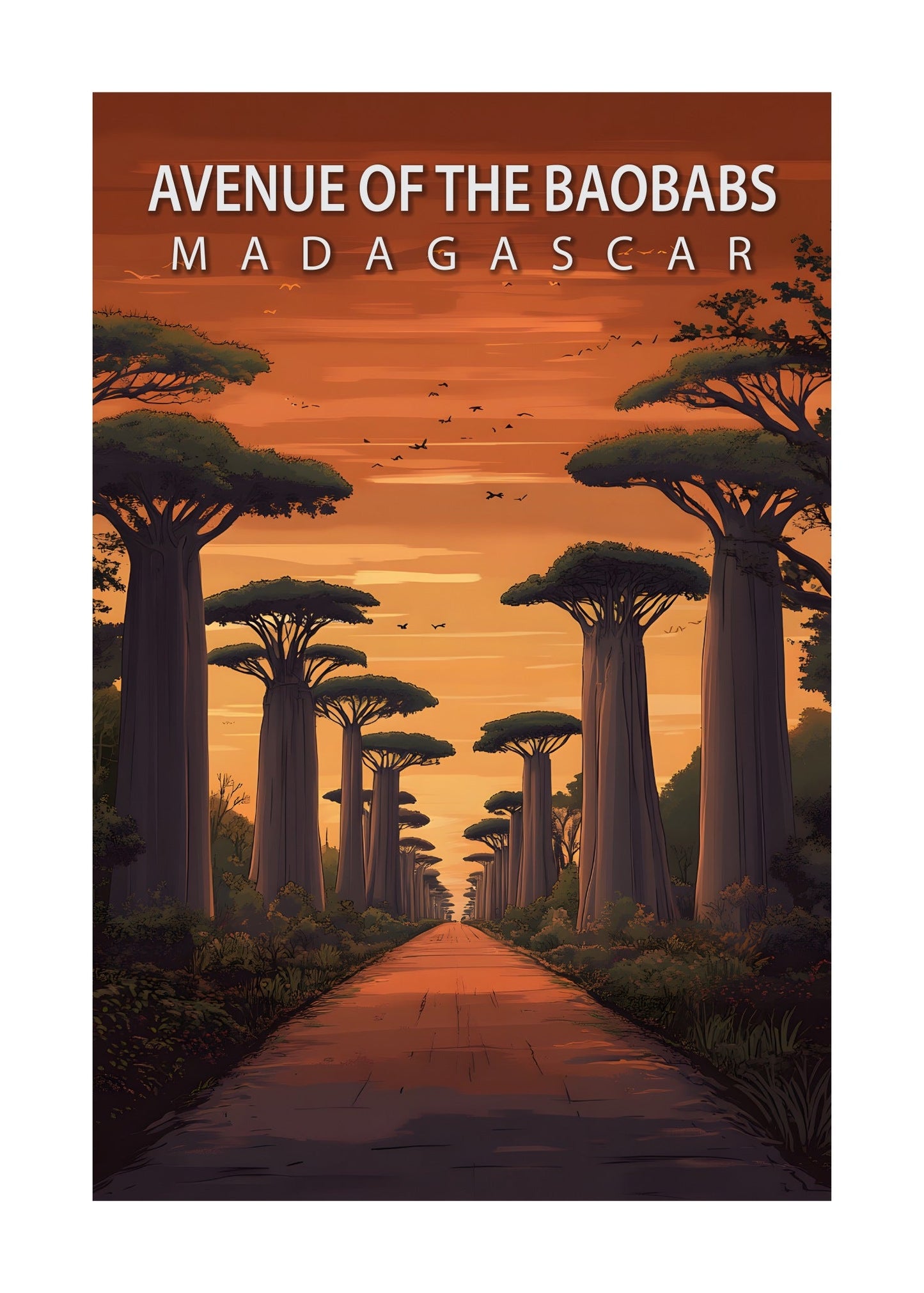 Avenue Of The Baobabs Poster