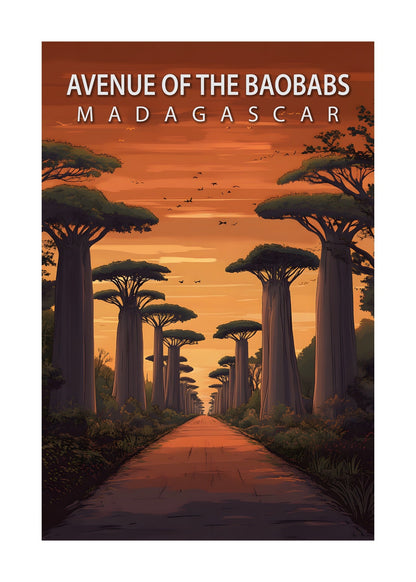 Avenue Of The Baobabs Poster