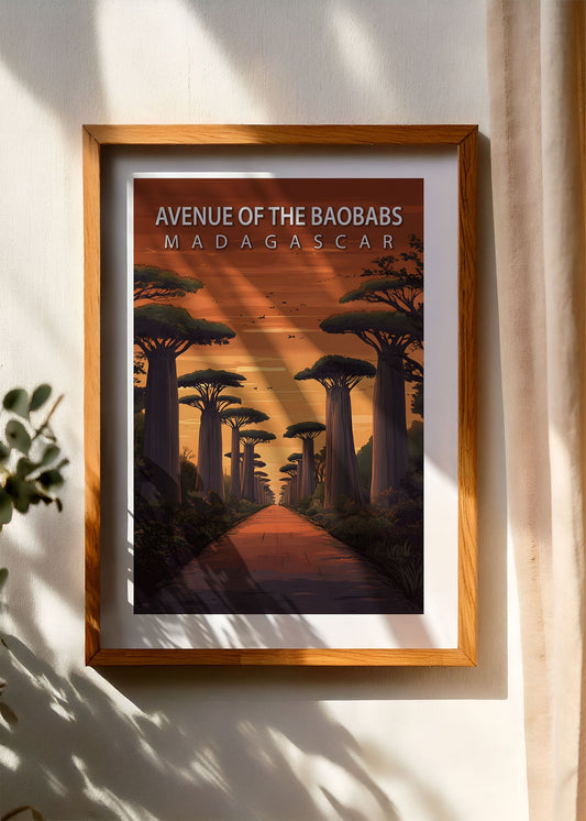 Avenue Of The Baobabs Poster
