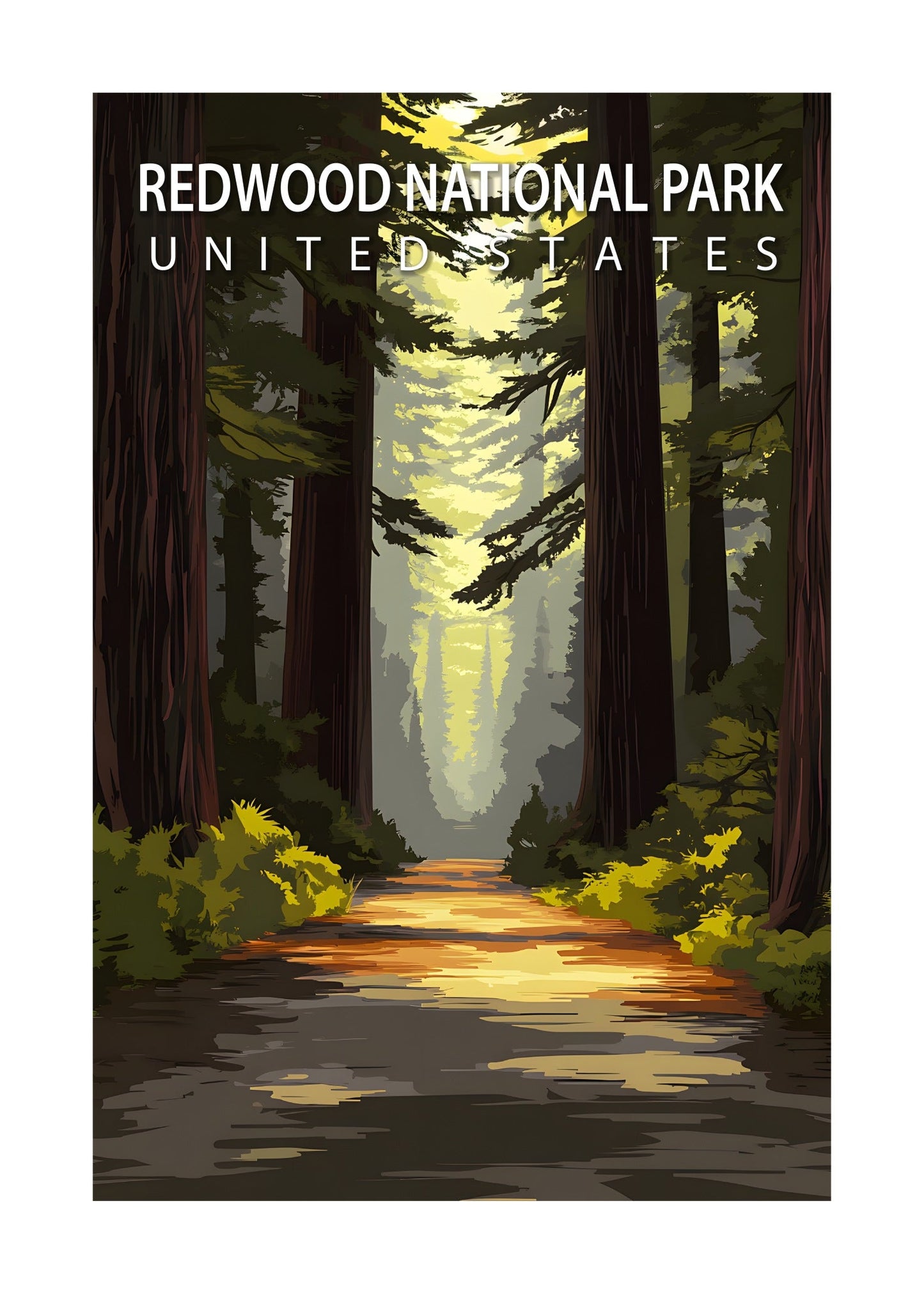 Redwood National Park Poster