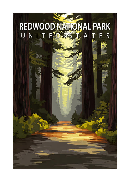 Redwood National Park Poster
