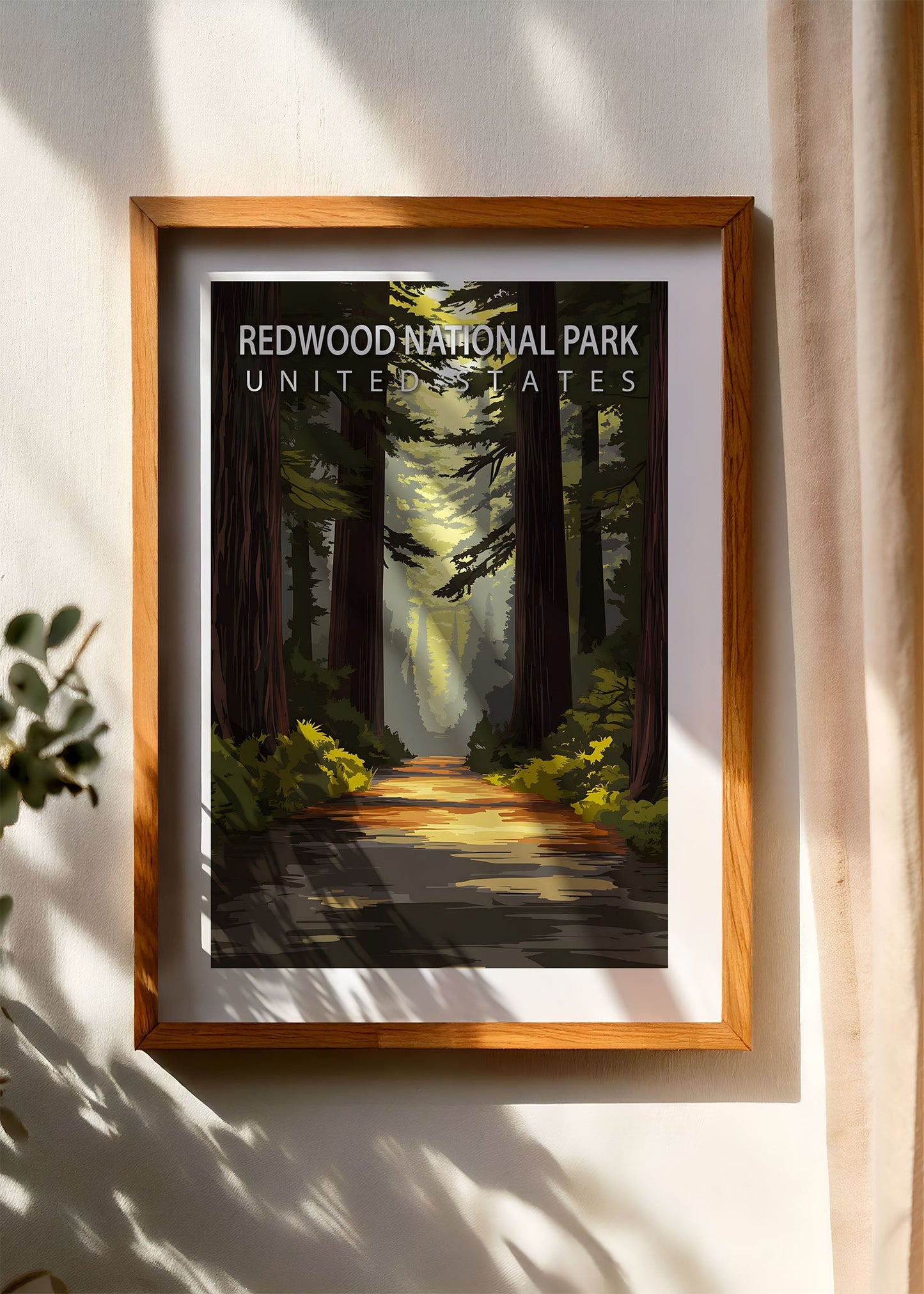 Redwood National Park Poster