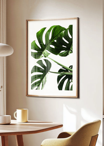 Botanical Monstera Leaf Poster