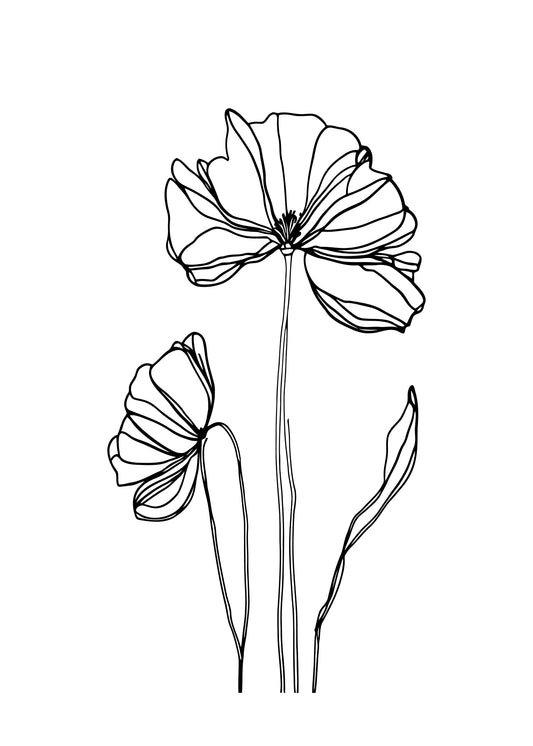 Refind Lines No. 4 Poster