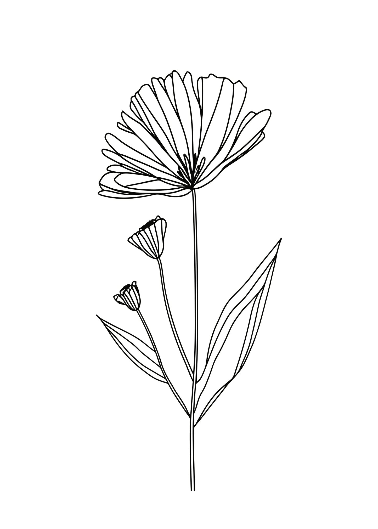 Refind Lines No. 5 Poster