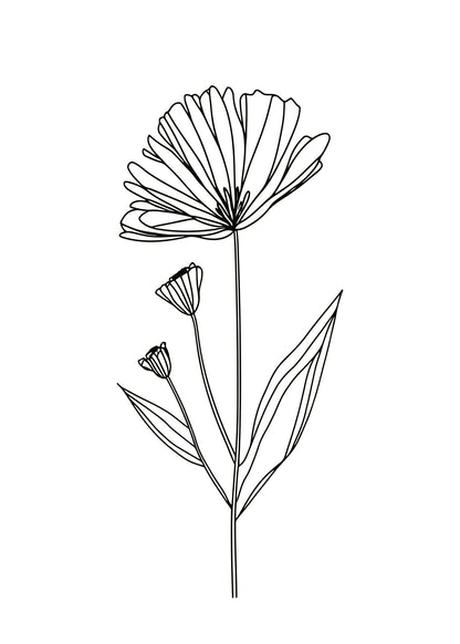 Refind Lines No. 5 Poster