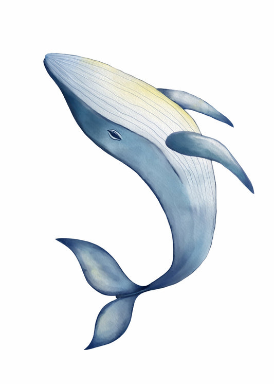 Playful Friends - Whale Poster
