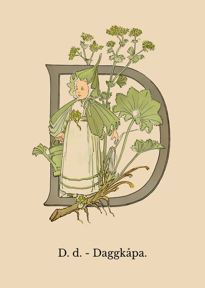 Prinsarnes Blomsteralfabet D Poster