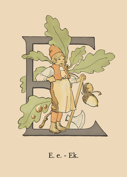 Prinsarnes Blomsteralfabet E Poster