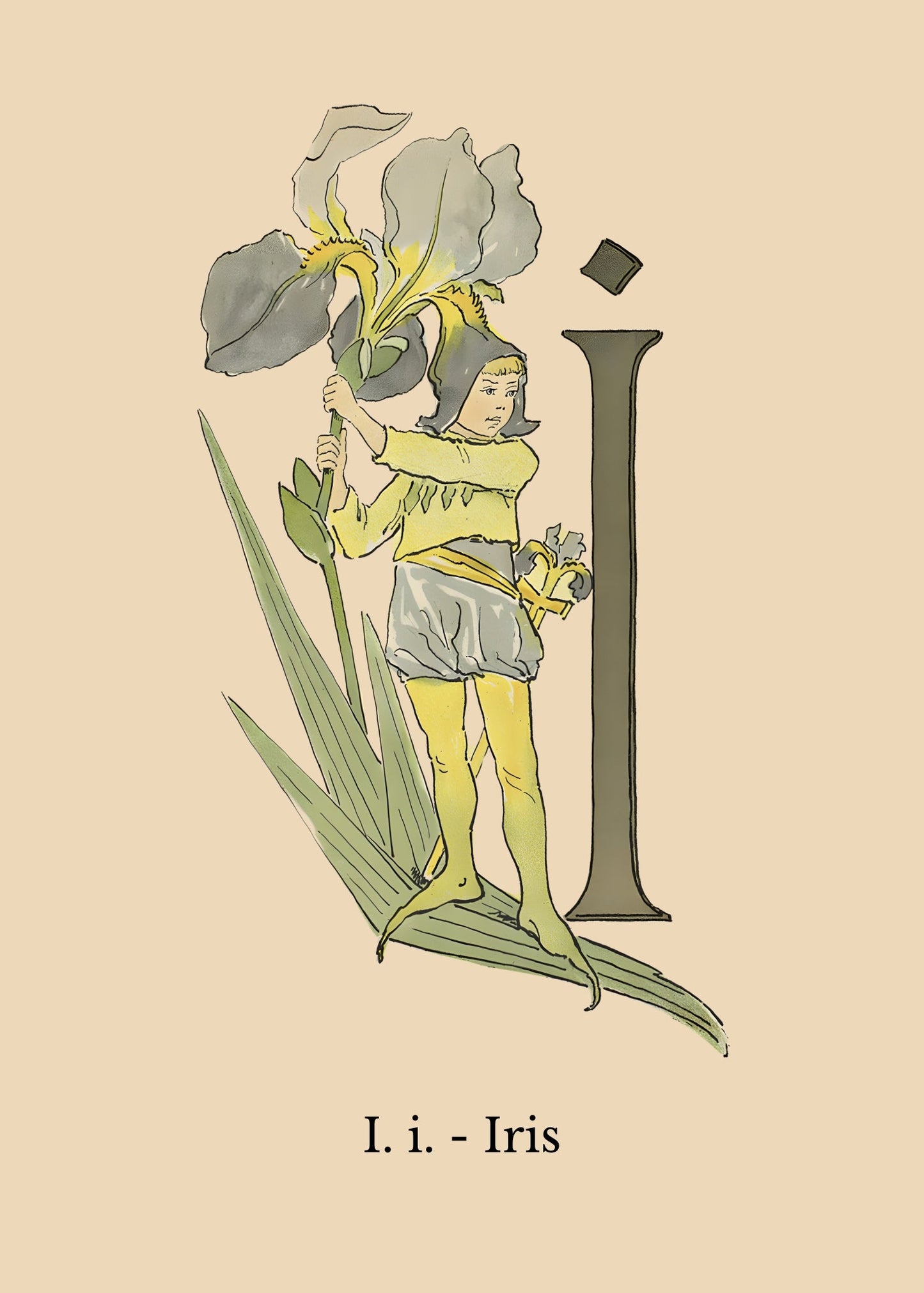 Prinsarnes Blomsteralfabet I Poster